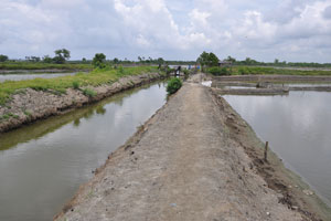  Main Water Supply Channel