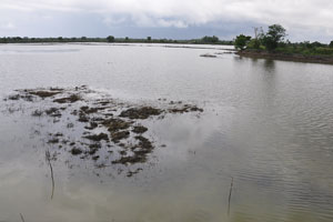  Largest Pond